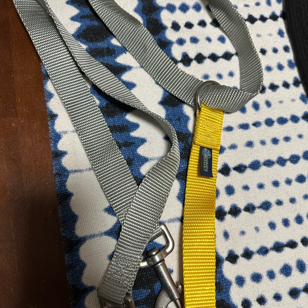 Yellow and Gray Dog Leash
